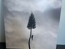 Manchester Orchestra - A Black Mile To The Surface Double Vinyl LP Album RARE