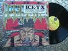 Ice-T ‎– The Iceberg (Freedom Of Speech... Just Watch What You Say)   Vintage LP