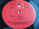 Phil Trainer (Trees ) TRAINER Very Scarce BASF1972 UK Prog Rock LP.  EX AUDIO