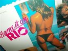 Ken Wannberg . Blame It On Rio . Michelle Johnson Sexy Cover . Soundtrack . LP