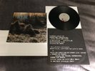 R.E.M. Murmur LP  SP70014 Vinyl IRS Records REM