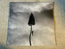 Manchester Orchestra - A Black Mile To The Surface Gray Marble Sealed Vinyl LP