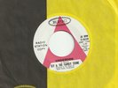 SLY & THE FAMILY STONE UNDERDOG B/W BAD RISK NON-LP WLP EPIC 45 EX