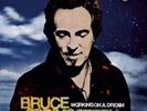 Bruce Springsteen - Working on a Dream 2LP NEW