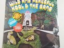 Rare Vintage 1973 Kool & The Gang 