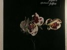 AFTERHOURS : FOLFIRI O FOLFOX    -    2LP  2016  -  sigillato