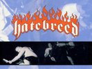 Hatebreed - Satisfaction Is The Death Of Desire  Ltd. Green Vinyl LP