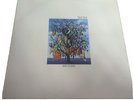 TALK TALK Spirit Of Eden Simply Vinyl 180 GRAM SVLP 246 LIMITED EDITION Reissue