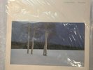 GEORGE WINSTON Ballads and Blues 1972 Piano Solos SEALED Vinyl LP 1981 Record