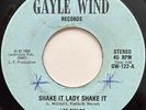 LEE FIELDS & FORCE FIELD BAND Shake It Lady Shake It MODERN SOUL BOOGIE 45 *hear
