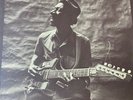 rare original Lp Hound Dog Taylor US first press 1971 on Alligator label
