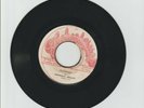 TECHNIQUES/ SCARFACE - BORIS GARDINER (70 SKINHEAD INSTRUMENTAL 7