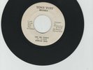 TONY TUFF/ ONE BIG FAMILY - AFRICAN BROTHERS (77 REGGAE ROOTS 7