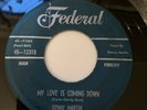KENNY MARTIN - MY LOVE IS COMING DOWN / I'M THE JIVIN MR LEE - FEDERAL  12310.