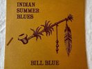 BILL BLUE: Indian Summer Blues Vinyl LP 1975 Private Press Blues Folk Psych 6969