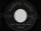 Garage Fuzz 45 - Spiders - Don't Blow Your Mind - Santa Cruz - rare Alice Cooper