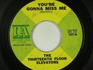 Garage Psych 45 - Thirteenth Floor Elevators - You're Gonna Miss Me - IA - mp3
