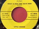 Little Ronnie and the Chromatics What a Day This Have Been 45 Rare Bay Area Funk