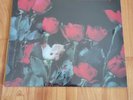 Concrete Blonde: Bloodletting LP -  2017 Reissue Factory Sealed