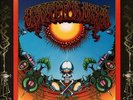 GRATEFUL DEAD Aoxomoxoa LP VINYL UK Warner Bros 1969 8 Track Vinyl LP Green