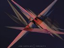 Jon Hopkins Immunity  (Vinyl)  12