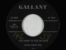 R&B Soul Popcorn 45 - Little Jimmy Ray - You Need To Fall In Love - Galliant VG+