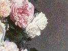 New Order - Power Corruption & Lies [New Vinyl LP] Germany - Import