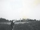 the innocence mission - small planes / Vinyl LP limited edition on BLUE
