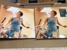 k.d. Lang -Makeover ,Vinyl LP, Sealed ,With Signed Print,Torquoise Vinyl,In Orig