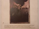 The Pixies Surfer Rosa rare LP
