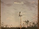 Cluster & Eno - 1978 Vinyl LP - Repress - Sky 010