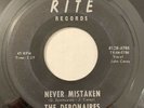 The Debonaires Never Mistaken Summertime 45 Vinyl Single Rite Records Garage VG