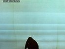 FOALS - What Went Down - Vinyl - **BRAND NEW/STILL SEALED** - RARE
