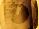 Johnny Cash - Folsom Prison Blues X-RAY OF USSR X-RAY BONES RECORD