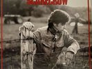 John Cougar Mellencamp - Scarecrow - Vinyl JAPAN and Insert - 28PP-1012