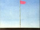 Wire, Pink Flag, Vinyl,LP, Punk, Post-Punk, Reissue, PinkFlag, 2018, NEW, Sealed