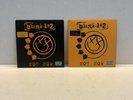 Blink 182 Not Now Vinyl Record Part 1 & 2 Limited Edition