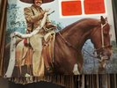 VICENTE FERNANDEZ El Hijo Del Pueblo LP 1975 Caytronics CYS-1441 Very Good+
