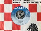 THE DELLS * MAKE SURE (You Have Someone Who Loves You) *NORTHERN SOUL️