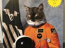 Klaxons - Surfing The Void vinyl 1st pressing (not RSD reissue) mint