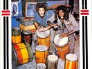The Congos Heart Of The Congos UK LP Vinyl Record Album 1980 BEAT2 Go-Feet EX