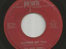 1966 Garage Rock 45 