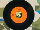 The Rotters 45 Sit On My Face Stevie Nicks / Amputee 1978 Punk M-