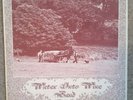 vinyl lp record: Water into Wine Band: Harvest Time