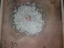 frightened rabbit Midnight Organ Fight Rsd Signed print ltd 250