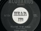 Tuff Guitar Rocker Elvis Style Rockabilly 45 SONNY FREEZE Welcome ACQUARIUS hear