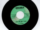 ROCKABILLY 45 RPM - JR. WARREN ON SHERBA RECORDS