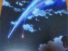 Your Name RADWIMPS Vinyl Records Movie Soundtrack Kimi No Na Wa LP Analog  24012