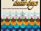 THE BEACH BOYS - That's Why God Made The Radio [lp] - Vinyl - **SEALED/ NEW**