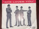 The Beatles She Loves You 45 Record & Picture Sleeve,  Swan  S-4152 Original